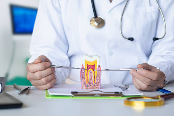 Best Dentist Open Late Near Me  in Merrionette Park, IL